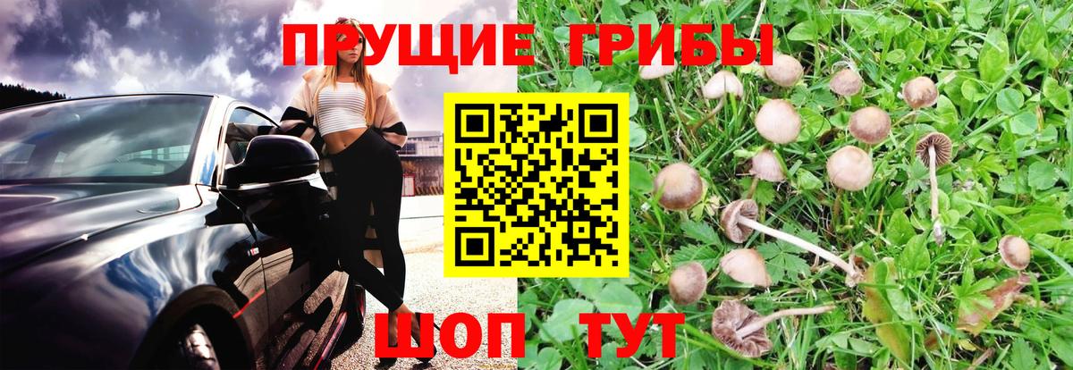 Галлюциногенные грибы Magic Shrooms Хабаровск